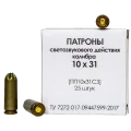 10х31
